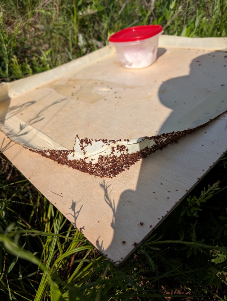 Mega tick trap