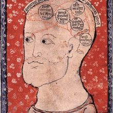 medieval brain